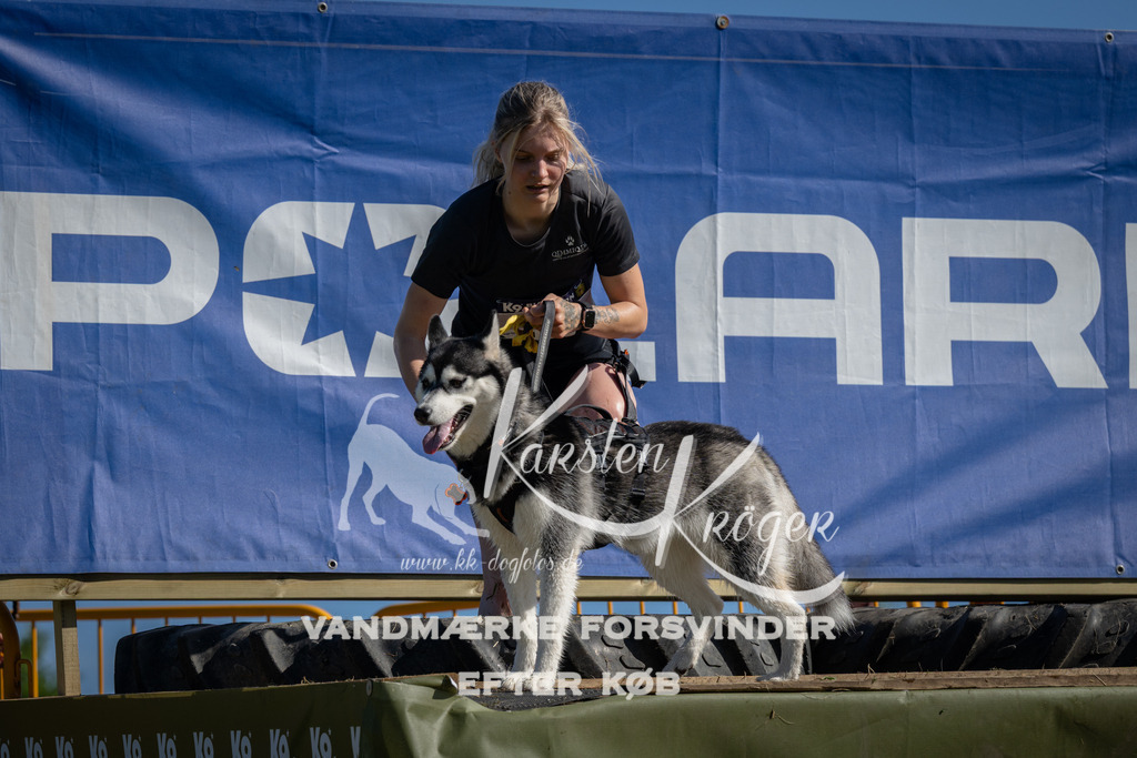 1022_ZZ98331 | kk-dogfotos