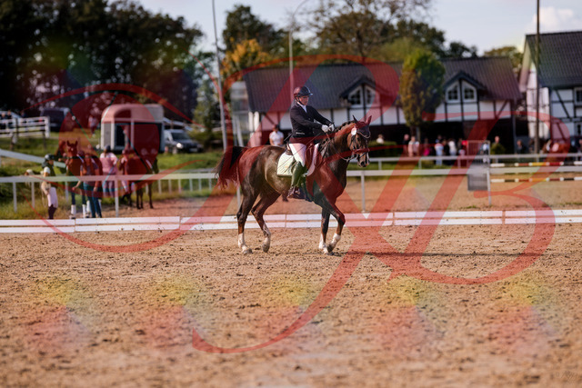 2026_10_03_Siefer-Hof_132514_Z81_74729613 | Professionelle Reitsport-, Turnier- und Eventfotografie von Robert Broda. Galerien mit ausgewählten und bearbeiteten Bildern direkt online ansehen und bestellen.