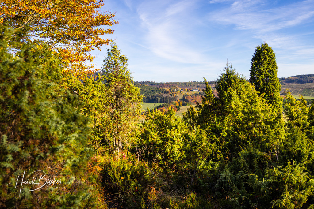 Westfeld und Umgebung 062 | Bilder und Impressionen zu jeder Jahreszeit aus dem Sauerland im Naturpark Sauerland-Rothaargebirge - Realisiert mit Pictrs.com