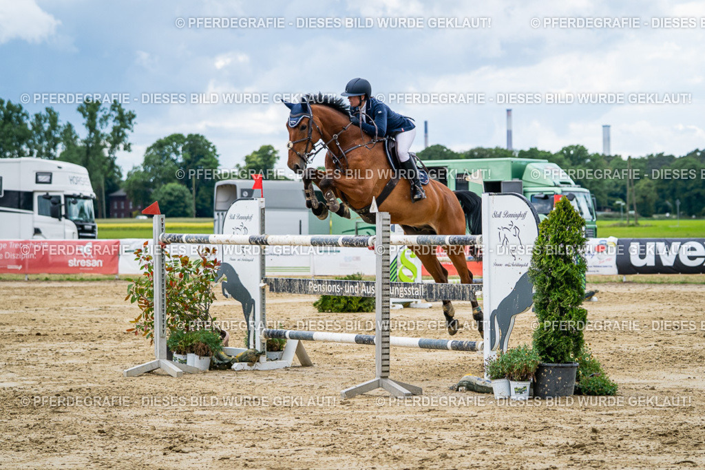 DSC06043 | Pferdegrafie