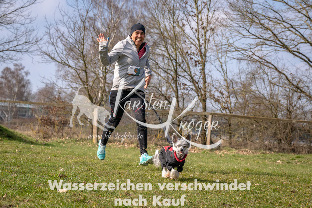 _ZZ90162 | kk-dogfotos