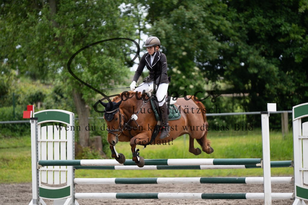 A7V04092 | Pferdefotograf