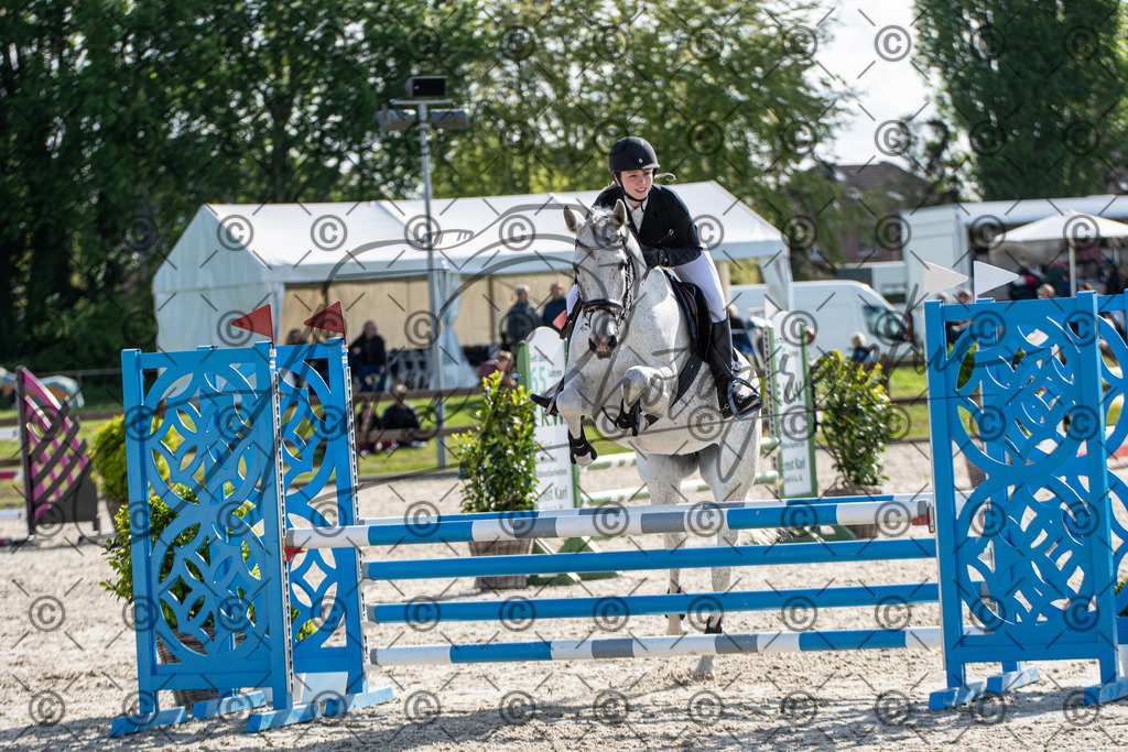 KPT_4572 | andre_photographic