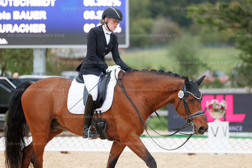 04_2-006-Dressur M__ -StoibPH-2985 | working equitationturnier fotograf videograf stoibphotography marixx film working equitation deutschland reitsport turnierfotografie eventfotografie equestrian events