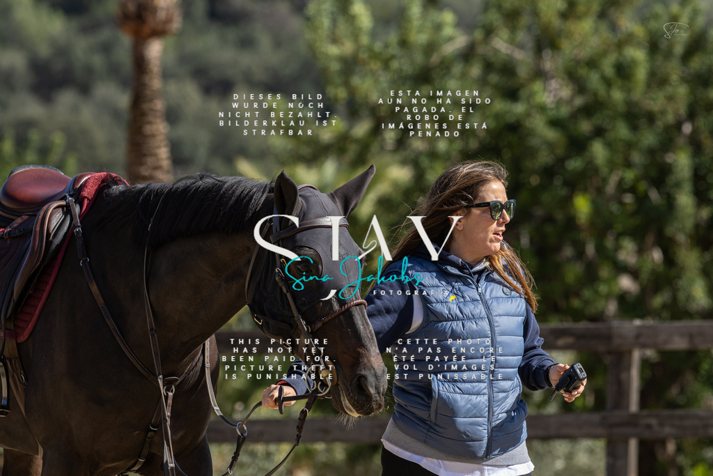 IMG_6624 | s-jay-photography - Realisiert mit Pictrs.com