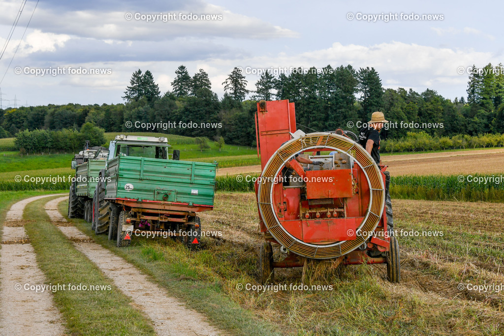 Deutschland_ Baden-Wuerttemberg_ Ebersbach an der Fils_ 30.08.2025-7 | 30.08.2025, Deutschland, GER, Baden-Wuerttemberg, Ebersbach an der Fils, im Bild Themenbild, Kartoffelernte, Erdaepfel, Landwirtschaft, Bauer, Baeuerin, Erntemaschinen, Kartoffelroder, Traktor, Anhaenger, Erntehelfer, Ackerbau, Bodenbearbeitung, Knollenernte, Landwirtschaftsbetrieb, Feld, Feldarbeit, Acker, Erntetransport, landwirtschaftliche Technik, Agrarwirtschaft, Sortieranlage, Lagerung, Erntezeit, Fruchtfolge, Schlepper, Erntelogistik, Bio-Kartoffeln, mechanische Ernte, Agrartechnik, saisonale Arbeit, Nahrungsmittelproduktion, Feature, Symbolbild