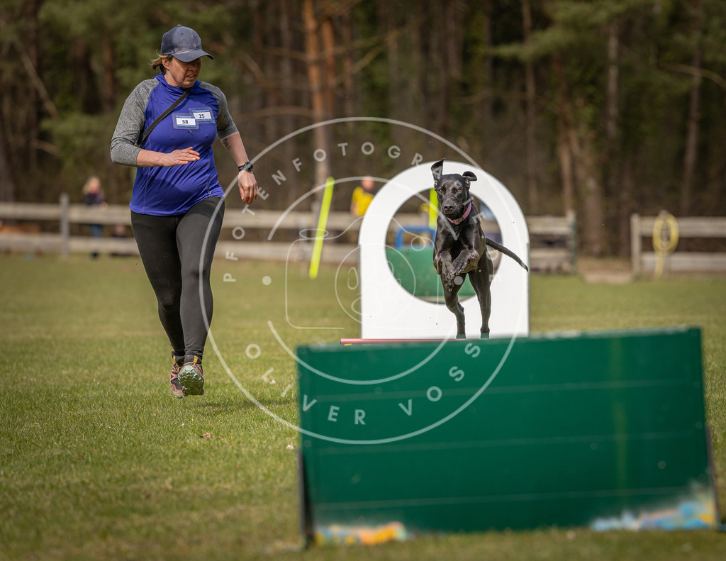 Pfotenfotografie_DV3A8546 | Hundefotografie, Tierfotograf, Pfotenfotografie, Fotoshooting Hund, Hunde Portrait, Hundesport, Hundeportraits, Heideshooting, Hunde, Sportfotograf, Hundefotograf, Turnierhundsport, THS,  - Realisiert mit Pictrs.com