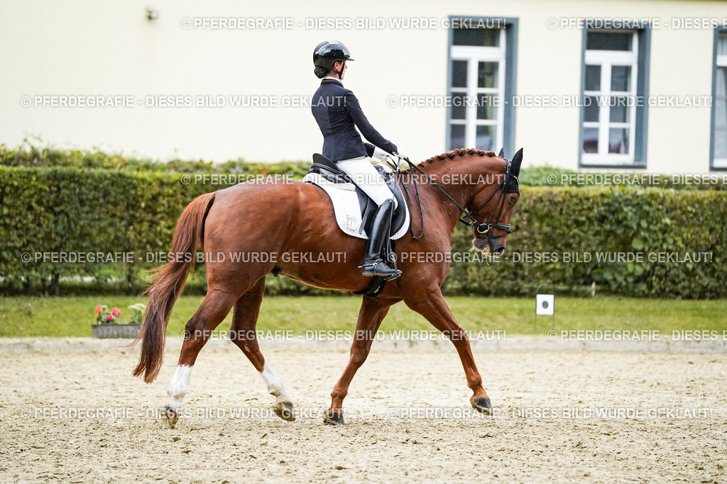 DSC00502 | Pferdegrafie