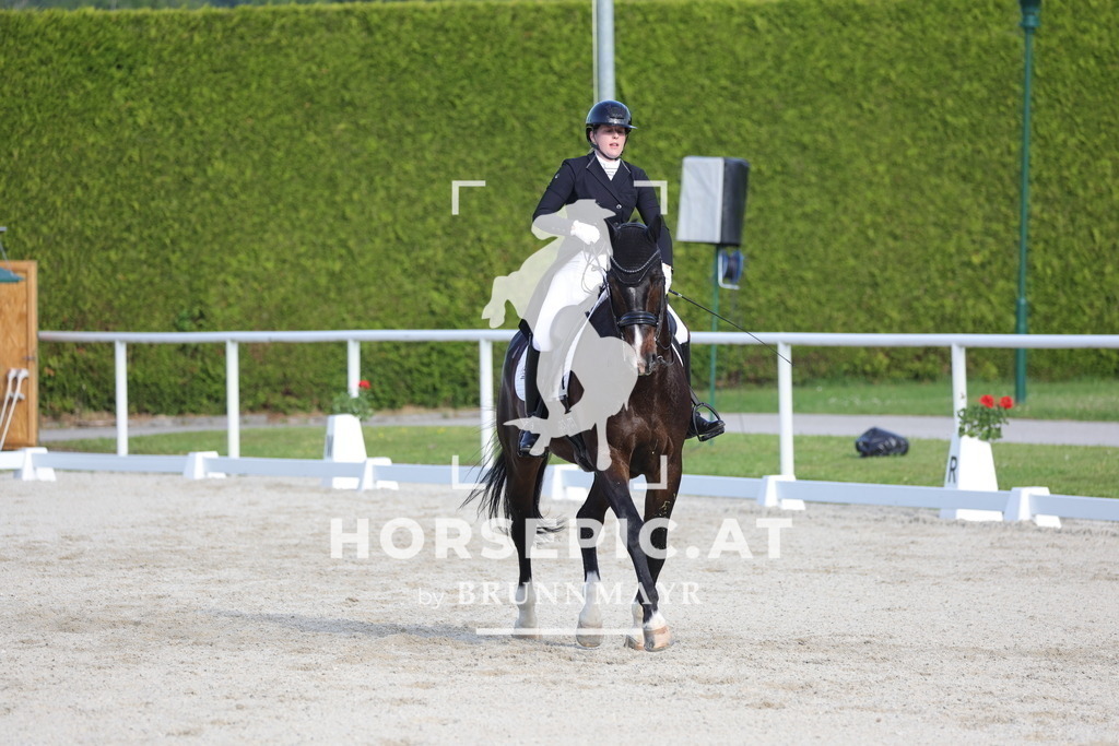 0P6A3787 | Willkommen bei Brunnmayr - Design & Fotografie – Ihrem Spezialisten für Reitturniere und Pferdeveranstaltungen in Oberösterreich, Salzburg und Bayern! Seit über 17 Jahren sind wir leidenschaftlich dabei.