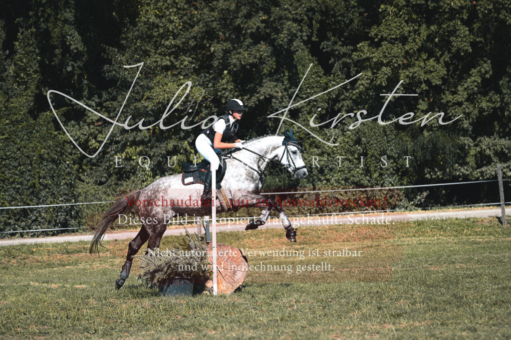 DSC_7840 | Pferde- und Turnierfotografie in Westsachsen. Pferdeportraits, Auftragszeichnungen und intuitive Kunst.