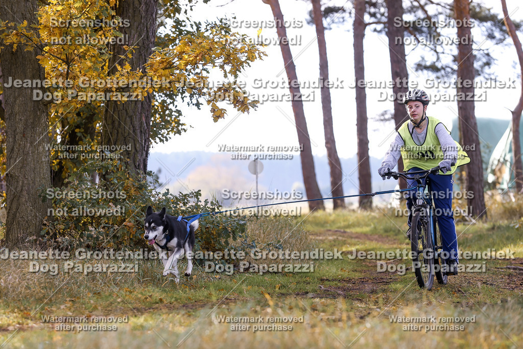 Dog Paparazzi - Elsholz 25 -164 | Dog Paparazzi Jeanette Grottendiek Fotografie & Videografie - Realisiert mit Pictrs.com