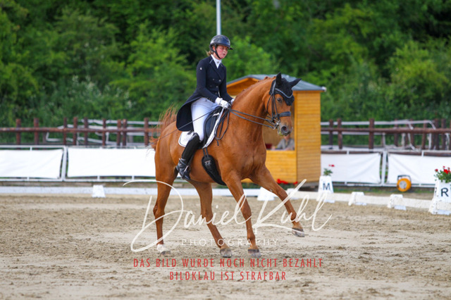 DKP48067 | Turnierfotos kaufen im Webshop von Daniel Kuhl Photography – entdecke professionelle Reitsportfotos aus Turnieren & Events. Hochwertige Turnierbilder online bestellen & sichern. Jetzt Fotos von Reitsportturnieren kaufen!