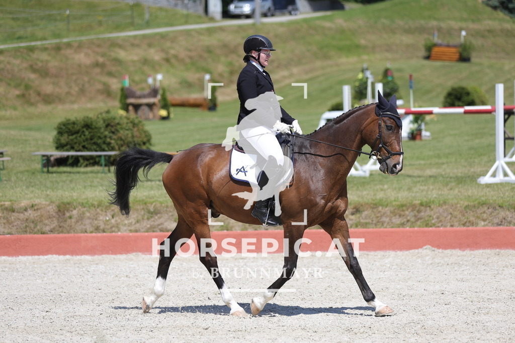 0P6A6637 | Willkommen bei Brunnmayr - Design & Fotografie – Ihrem Spezialisten für Reitturniere und Pferdeveranstaltungen in Oberösterreich, Salzburg und Bayern! Seit über 17 Jahren sind wir leidenschaftlich dabei.