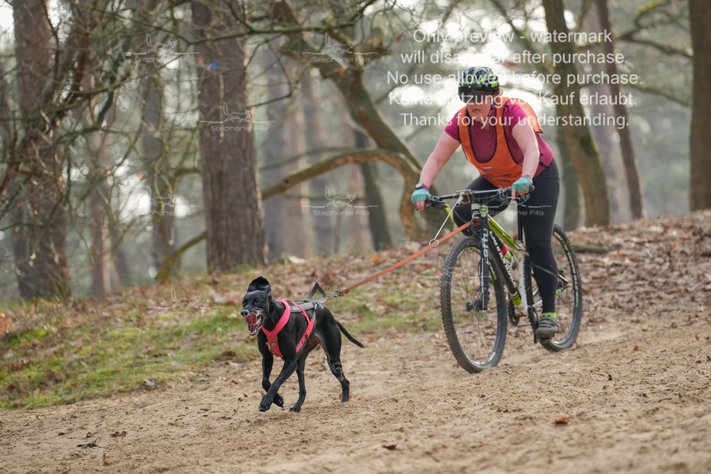 Bike1-320 | stephaniefillaphotographie - Realisiert mit Pictrs.com