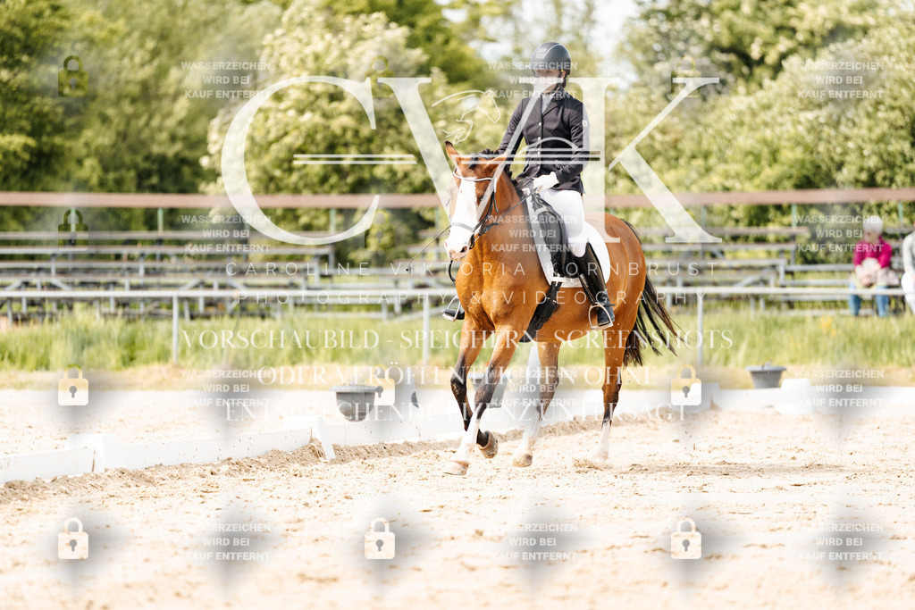 CK901269 | Turnierfotografie Pferdefotografie Trier Rheinland-Pfalz Pferdesport Reitsport Tierfotografie Sportfotografie Pferdevideo Pferdevideografie Equestrianvideography equestrianphotography  - Realisiert mit Pictrs.com