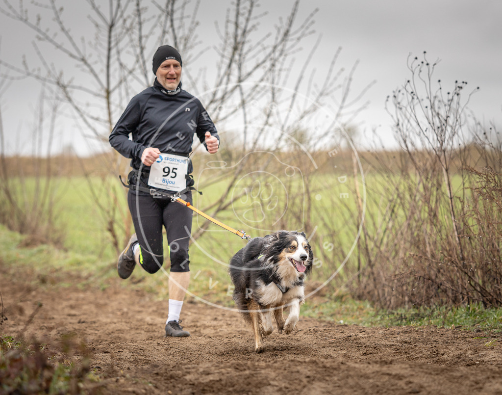DV3A0083 | Hundefotografie, Tierfotograf, Pfotenfotografie, Fotoshooting Hund, Hunde Portrait, Hundesport, Hundeportraits, Heideshooting, Hunde, Sportfotograf, Hundefotograf, Turnierhundsport, THS,  - Realisiert mit Pictrs.com
