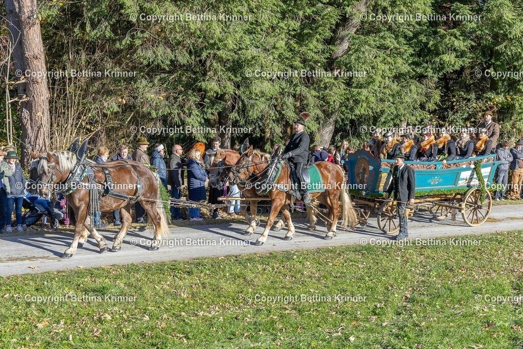 LBT25-535 | foto-bettina-krinner - Realisiert mit Pictrs.com