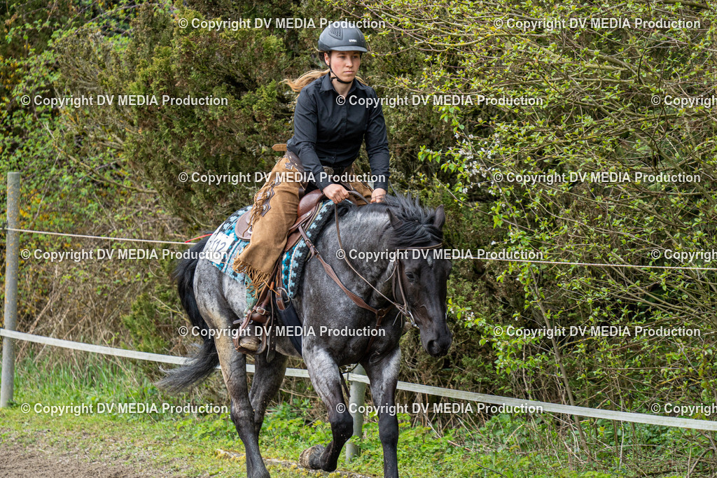 BAL00798 | dv-media-shop - Realisiert mit Pictrs.com