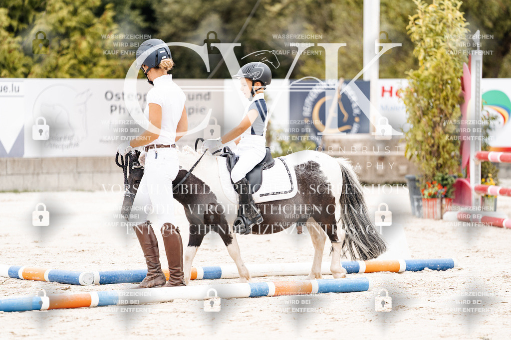 CK907420 | Turnierfotografie Pferdefotografie Trier Rheinland-Pfalz Pferdesport Reitsport Tierfotografie Sportfotografie Pferdevideo Pferdevideografie Equestrianvideography equestrianphotography  - Realisiert mit Pictrs.com