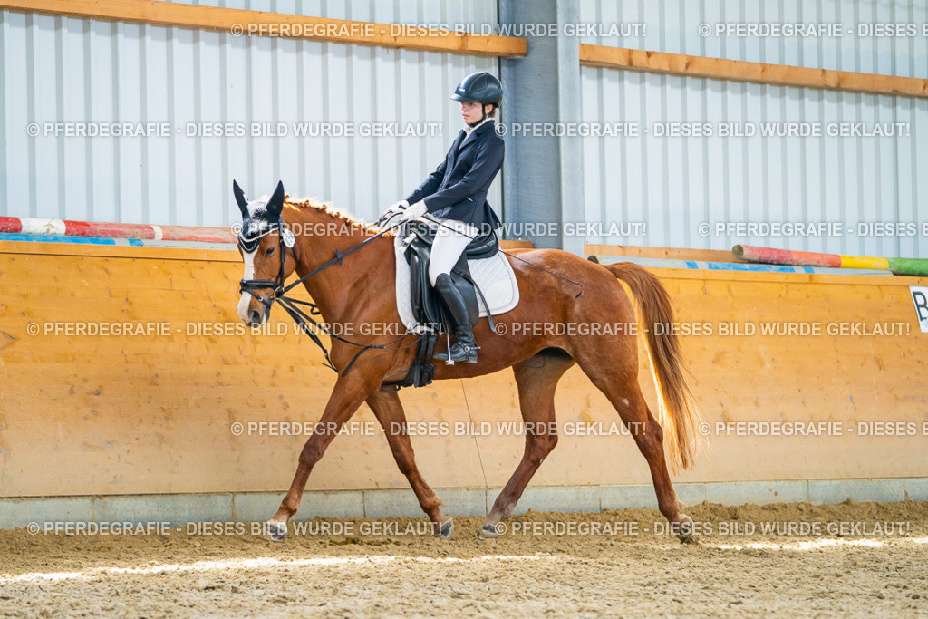 DSC09521 | Pferdegrafie