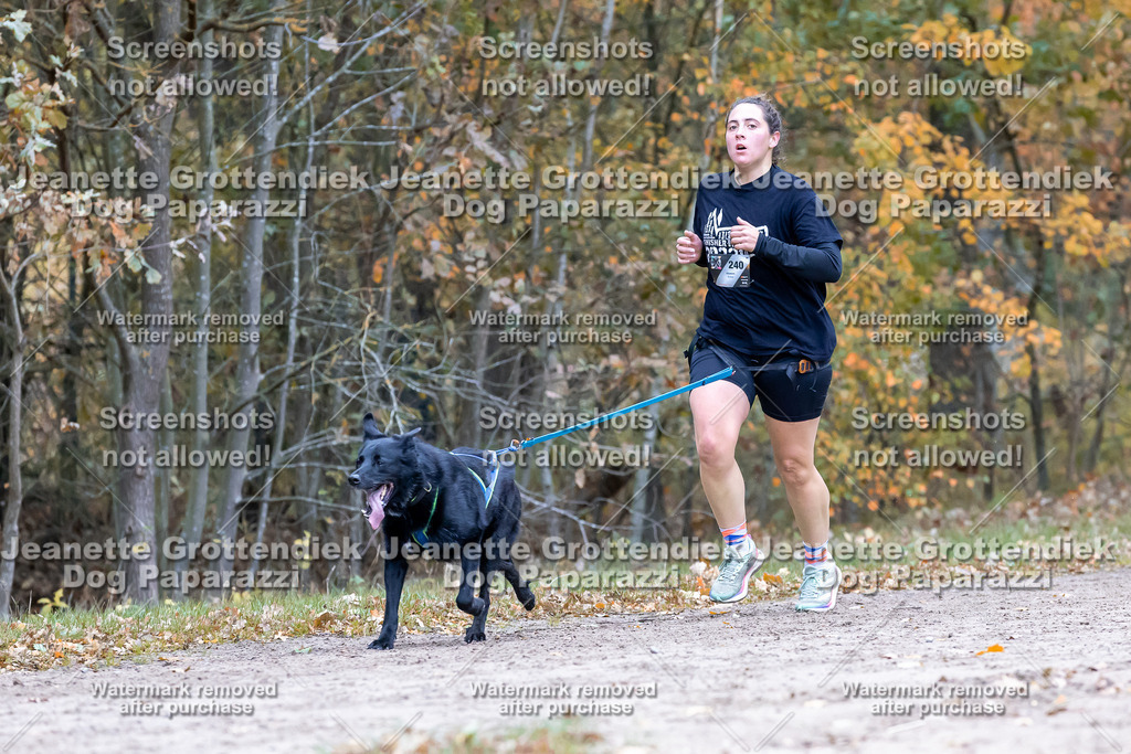 Dog Paparazzi - SD CaniX Championship 2025-513 | Dog Paparazzi Jeanette Grottendiek Fotografie & Videografie - Realisiert mit Pictrs.com