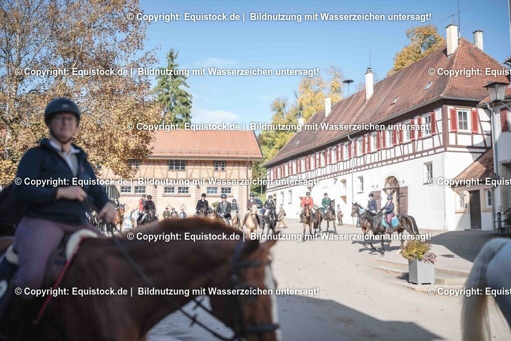 20251011_Jagd-Marbach_0649 | Foto: Thomas Hartig