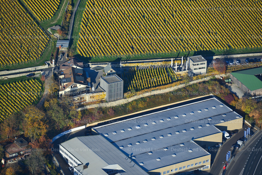 3503745 | Weingut am Stein, Weingut Knoll, Würzburg