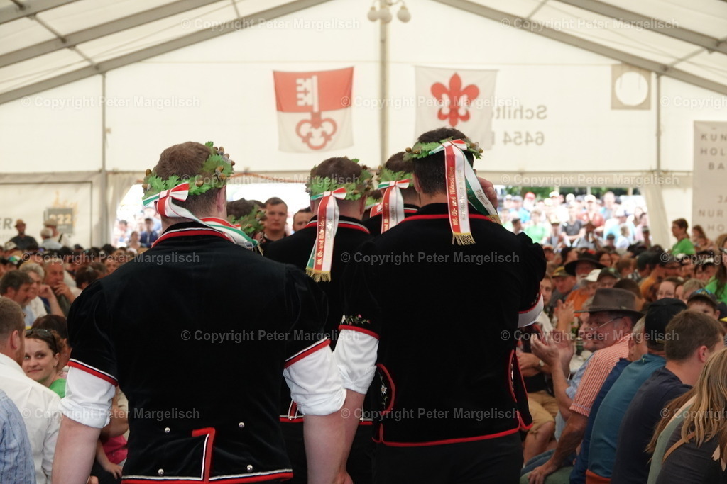 DSC04689 | Schwingen - Realisiert mit Pictrs.com