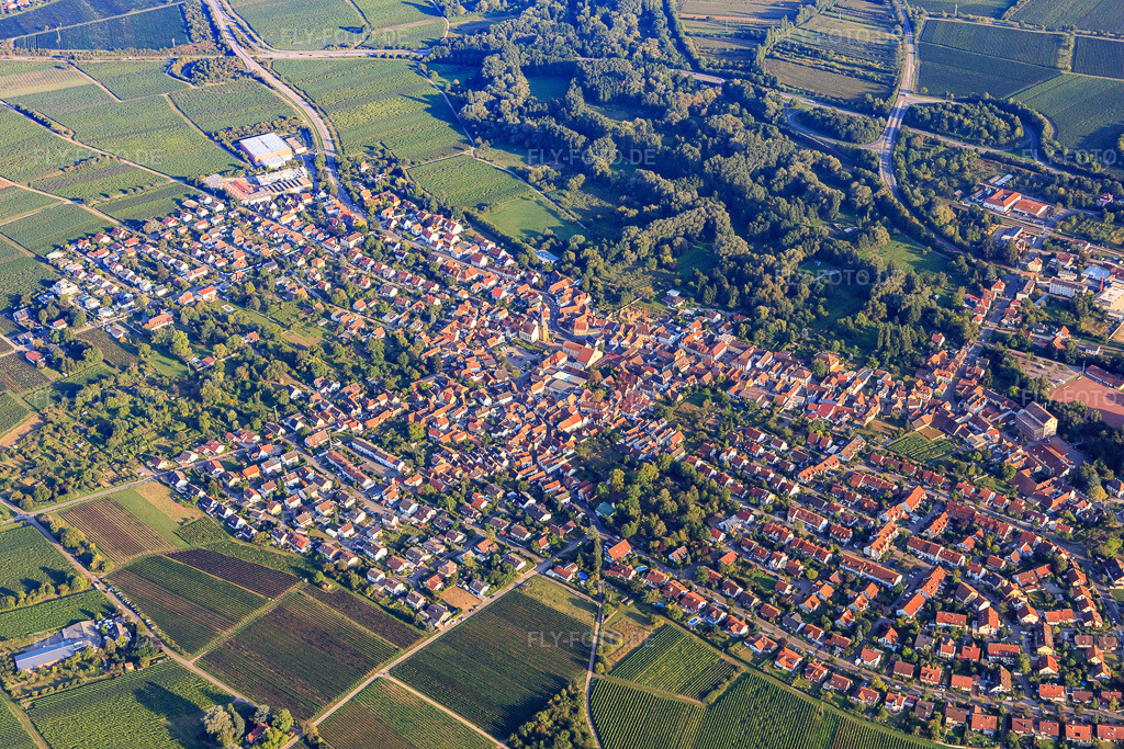 Luftbild: Ortsansicht von Nordosten im Ortsteil Godramstein in Landau im Bundesland Rheinland-Pfalz in Deutschland. Foto: IMG_103178.jpg vom 03.09.2017 durch Werner Riehm/FLY-FOTO.de