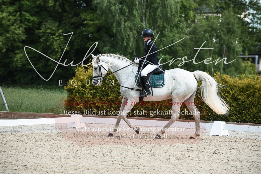 20230518_JK-Röhrsdorf-11-0645 | Pferde- und Turnierfotografie in Westsachsen. Pferdeportraits, Auftragszeichnungen und intuitive Kunst.
