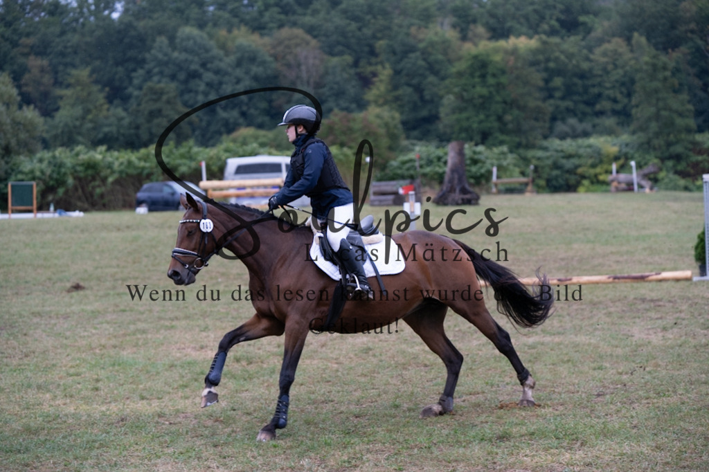 A7V00010 | Pferdefotograf