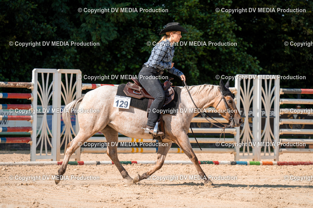 ZH100737 | dv-media-shop - Realisiert mit Pictrs.com