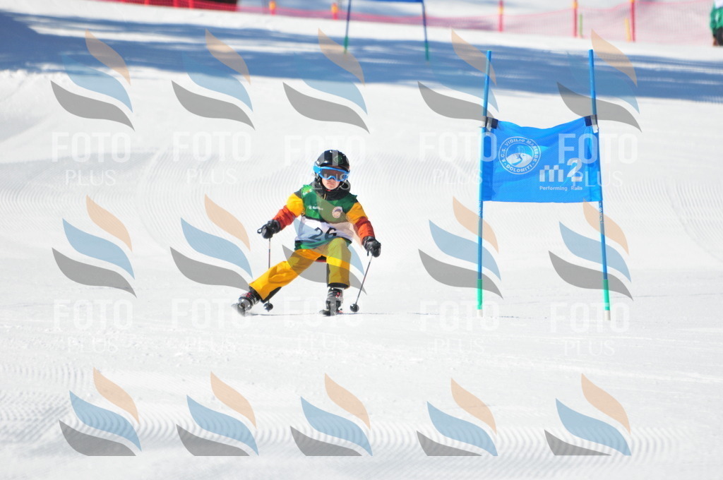 C2581 | holidayphoto