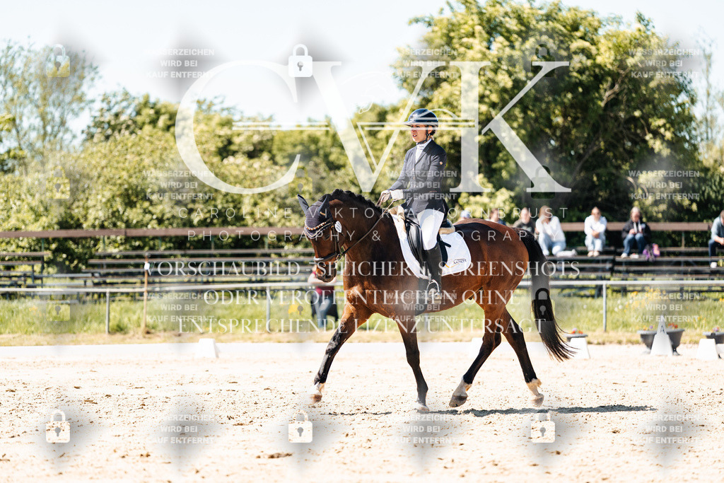 CK905612 | Turnierfotografie Pferdefotografie Trier Rheinland-Pfalz Pferdesport Reitsport Tierfotografie Sportfotografie Pferdevideo Pferdevideografie Equestrianvideography equestrianphotography  - Realisiert mit Pictrs.com