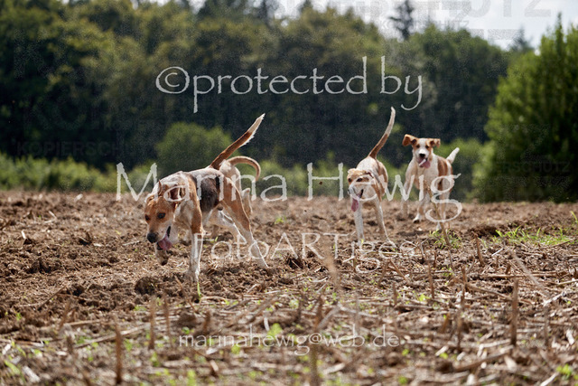 _MCH8015_Marina Hewig | Fotografie, FotoArt, PferdesportArt, Pferdesportfotografie, Landschaftsfotografie, Reisefotografie, Reise, Pferde - Realisiert mit Pictrs.com