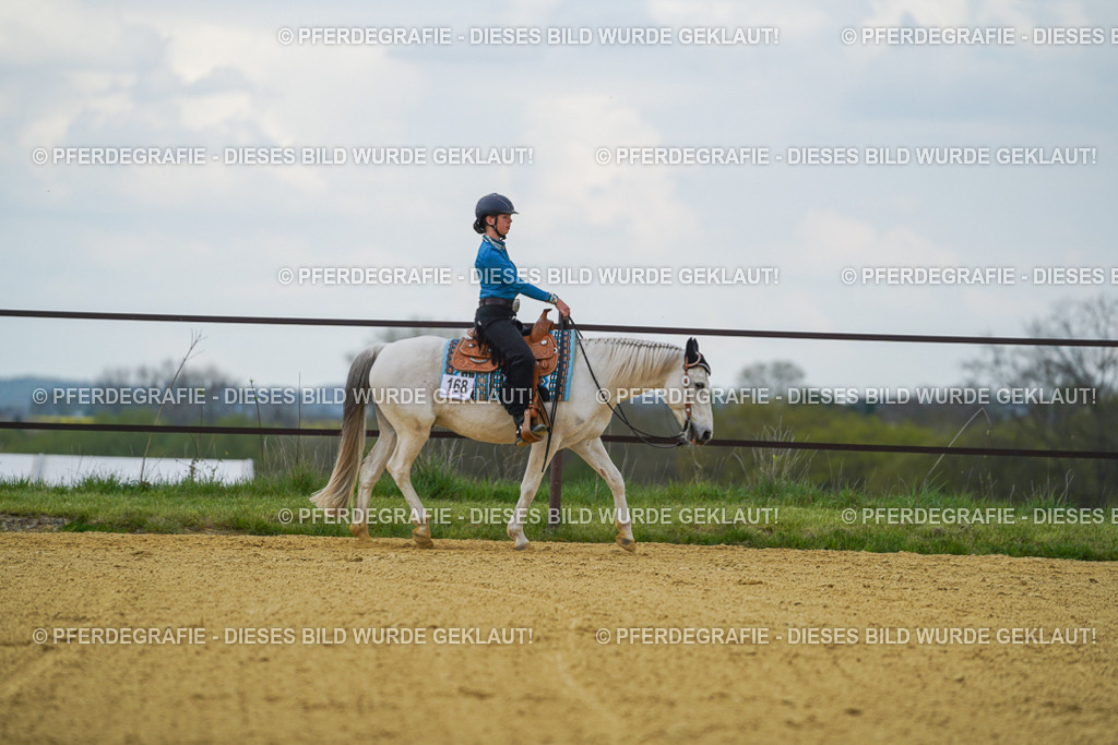 DSC06584 | Pferdegrafie