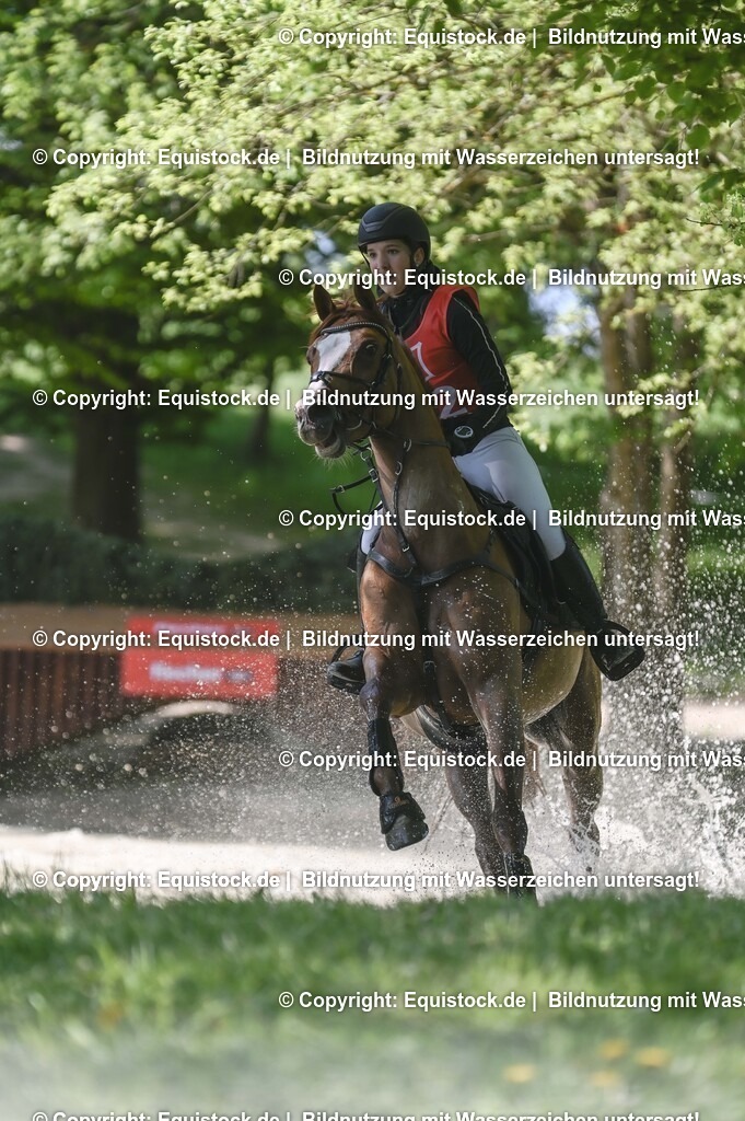 20250517_CCI2_Gelände_0873 | Foto: Thomas Hartig