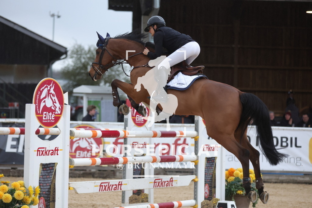 0P6A5704 | Willkommen bei Brunnmayr - Design & Fotografie – Ihrem Spezialisten für Reitturniere und Pferdeveranstaltungen in Oberösterreich, Salzburg und Bayern! Seit über 17 Jahren sind wir leidenschaftlich dabei.
