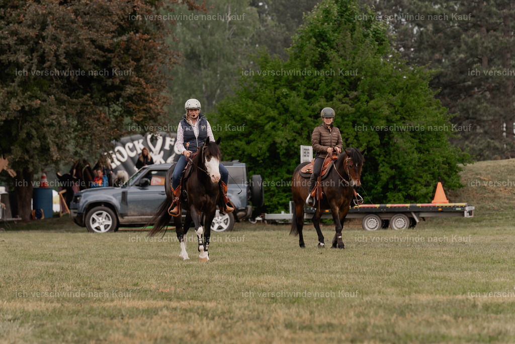 Showprogramm-81 | working equitationturnier fotograf videograf stoibphotography marixx film working equitation deutschland reitsport turnierfotografie eventfotografie equestrian events