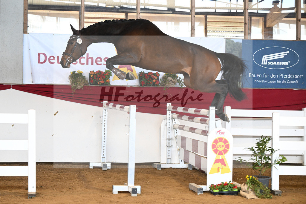 Kat-Nr. 18 Cordessa v. Cordess_Volkert_16250927 | hf-fotografie - Realizzato con Pictrs.com