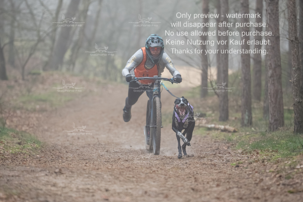 Scooter1-51 | stephaniefillaphotographie - Realisiert mit Pictrs.com