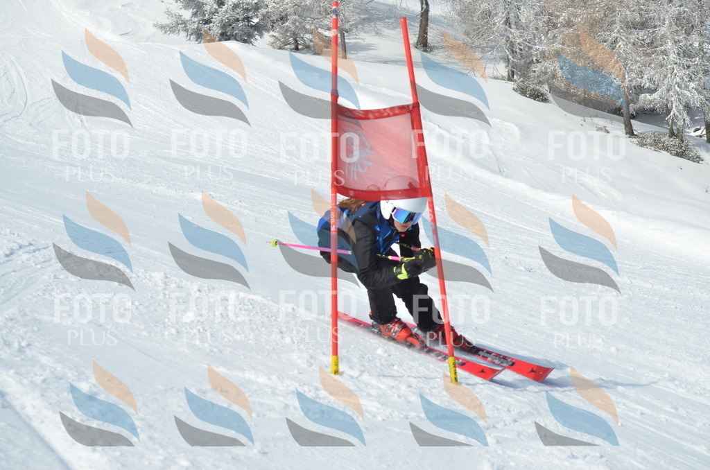 D8928 | holidayphoto