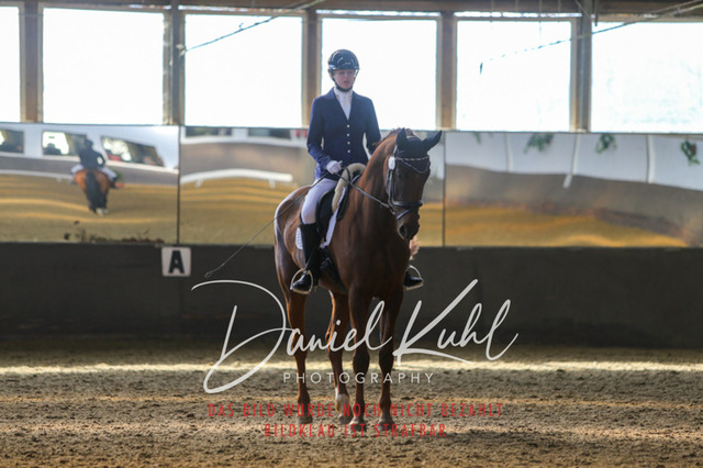 IMG_2373 | Turniersportfotografie; Pferdefotografie; Dressurfotografie