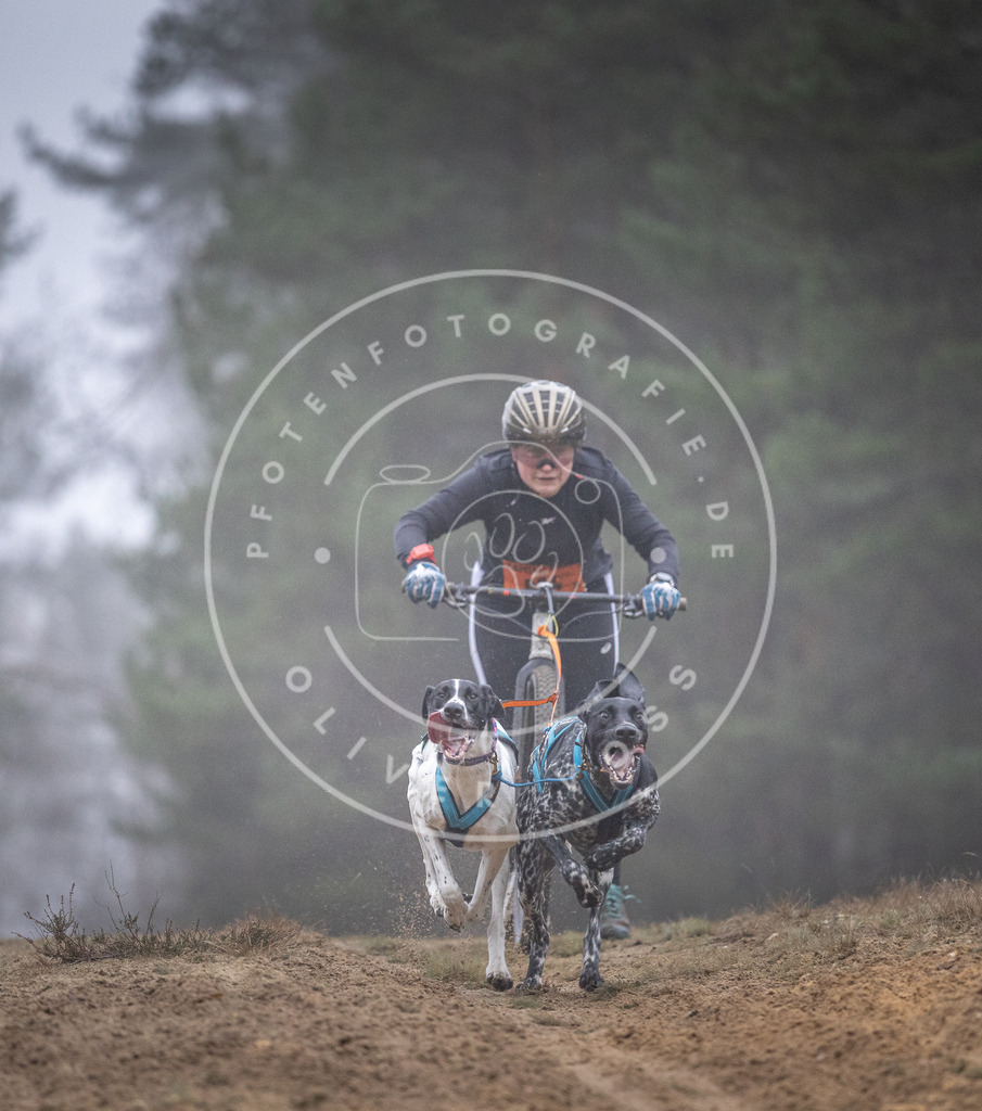 Pfotenfotografie_DV3A0783 | Hundefotografie, Tierfotograf, Pfotenfotografie, Fotoshooting Hund, Hunde Portrait, Hundesport, Hundeportraits, Heideshooting, Hunde, Sportfotograf, Hundefotograf, Turnierhundsport, THS,  - Realisiert mit Pictrs.com