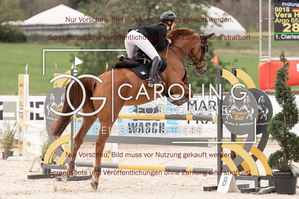 DSC06448 | Springturnier_Teamchallege_Talheim_2026, Vera_Haas, Argo_65