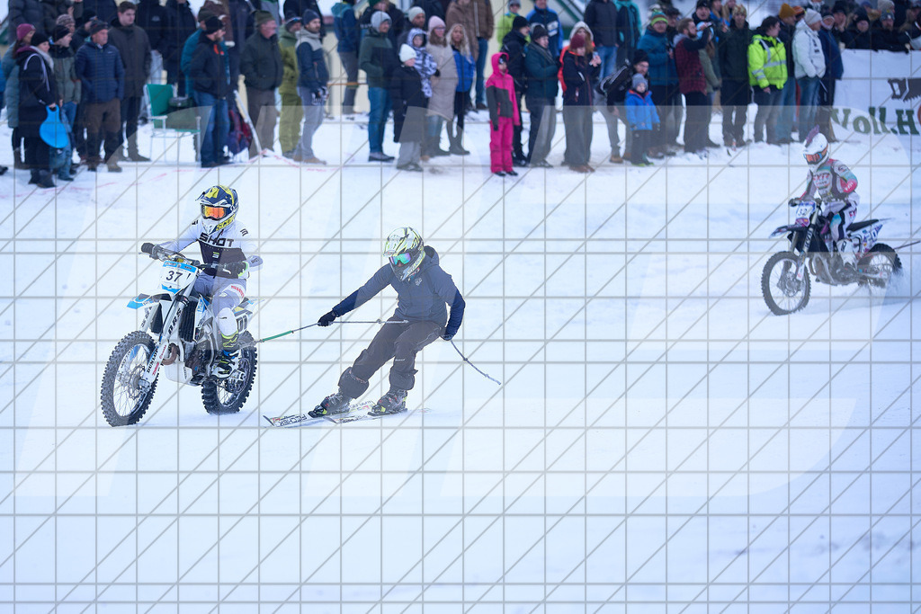 11. Holzknecht Skijöring | Skijöring am 24.01.2026: 11. Holzknecht Skijöring in Gosau am Dachstein, Oberösterreich, ÖsterreichFoto: © 2026 Martin Bihounek | mb-creative.eu