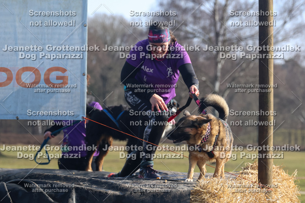 Dog Paparazzi - Strongdog North Mrz26-1347 | Dog Paparazzi Jeanette Grottendiek Fotografie & Videografie - Realisiert mit Pictrs.com