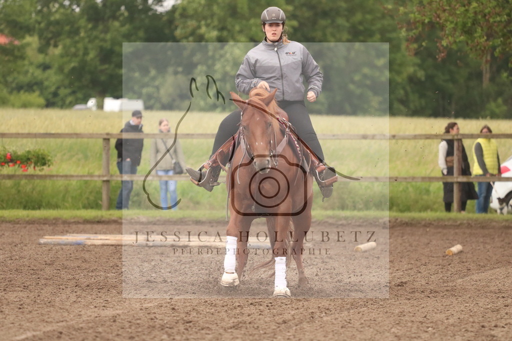 IMG_0460 | jessicahollubetz_pferdephotographie - Realisiert mit Pictrs.com