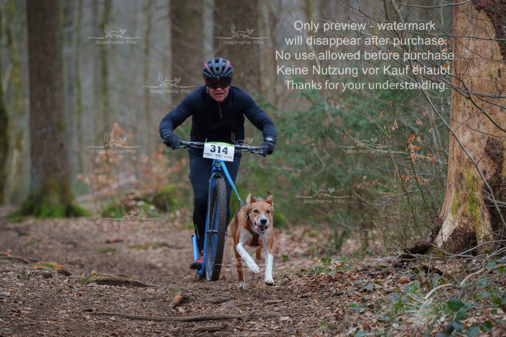 Scooter_So-79 | stephaniefillaphotographie - Realisiert mit Pictrs.com