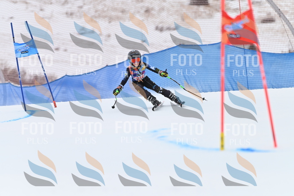 BGV_2790 | holidayphoto